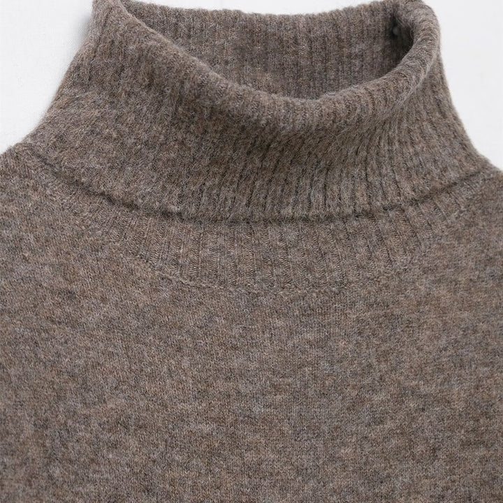 Damen Strickkleid mit kurzem Arm und hochgeschlossenem Kragen Drune