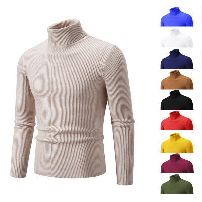 Herren Rollkragenpullover aus fein geripptem Material Drune