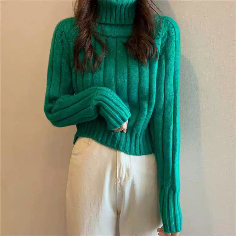 Damen lässiger Rollkragenpullover mit feinem Rippenmuster Drune