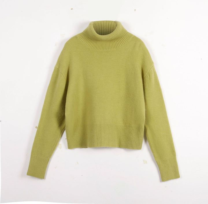 Damen modischer Rollkragenpullover Drune