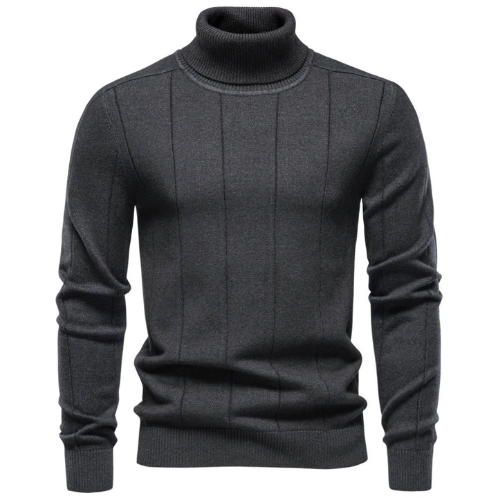 Herren Rollkragenpullover aus hochwertigem Feinstrick mit vertikaler Strukturnaht Drune