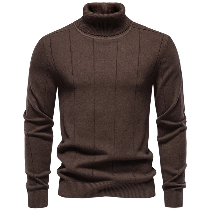 Herren Rollkragenpullover aus hochwertigem Feinstrick mit vertikaler Strukturnaht Drune