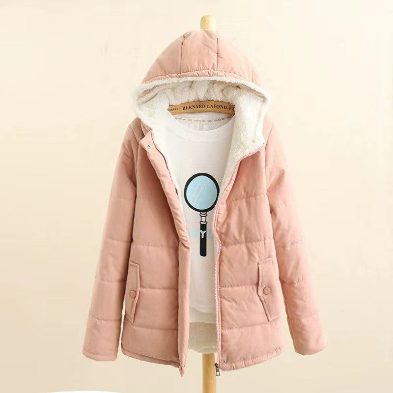 Damen nan gesteppte Kapuzenjacke mit Teddyfutter, verdeckter Druckknopfleiste und aufgesetzten Taschen Drune