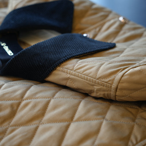 Damen Modische Steppjacke mit klassischem Kragen Drune