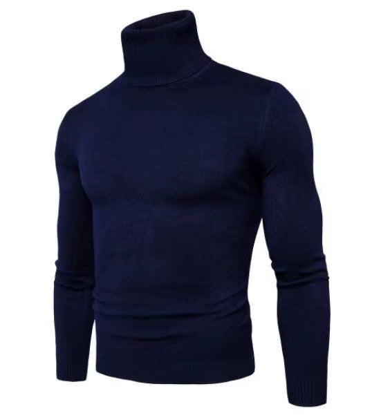Herren modischer Rollkragenpullover aus feiner Merinowolle Drune