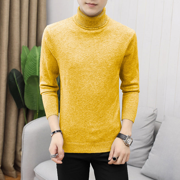 Herren modischer Rollkragenpullover mit feiner Struktur Drune