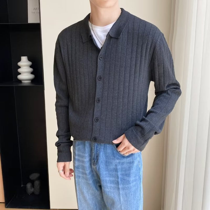 Herren Elegantes Langarm-Polohemd mit Struktur Drune