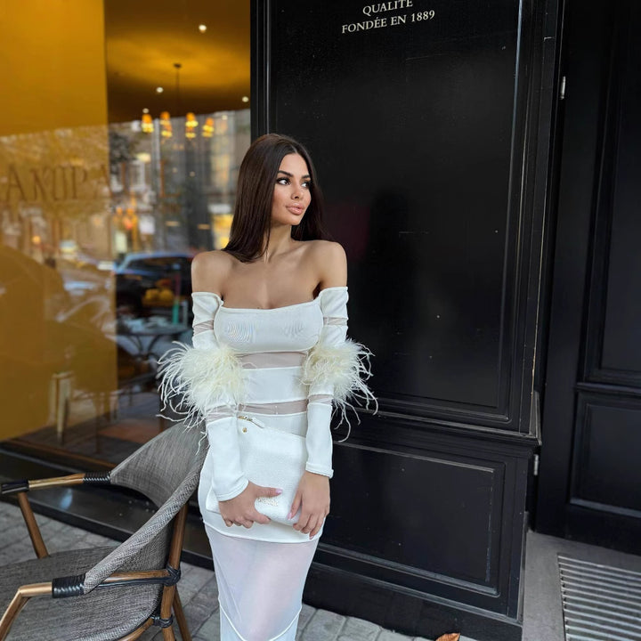 Damen Elegantes Kleid mit transparenten Einsätzen und federverzierten Ärmeln Drune