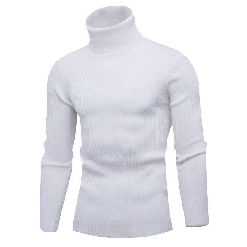 Herren modischer Rollkragenpullover aus feiner Rippstruktur Drune