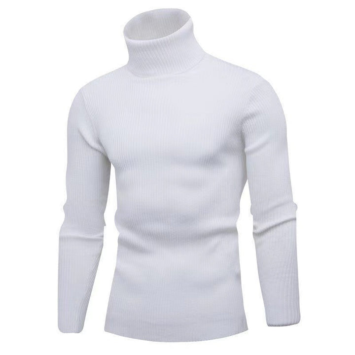 Herren modischer Rollkragenpullover aus feiner Rippstruktur Drune