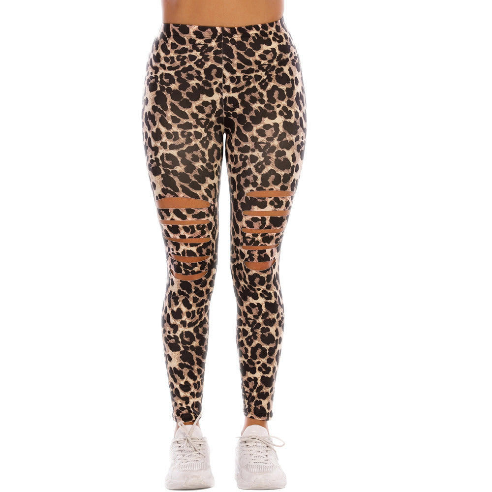 Damen Modische Leggings mit Cut-Outs im Leopardenmuster Drune