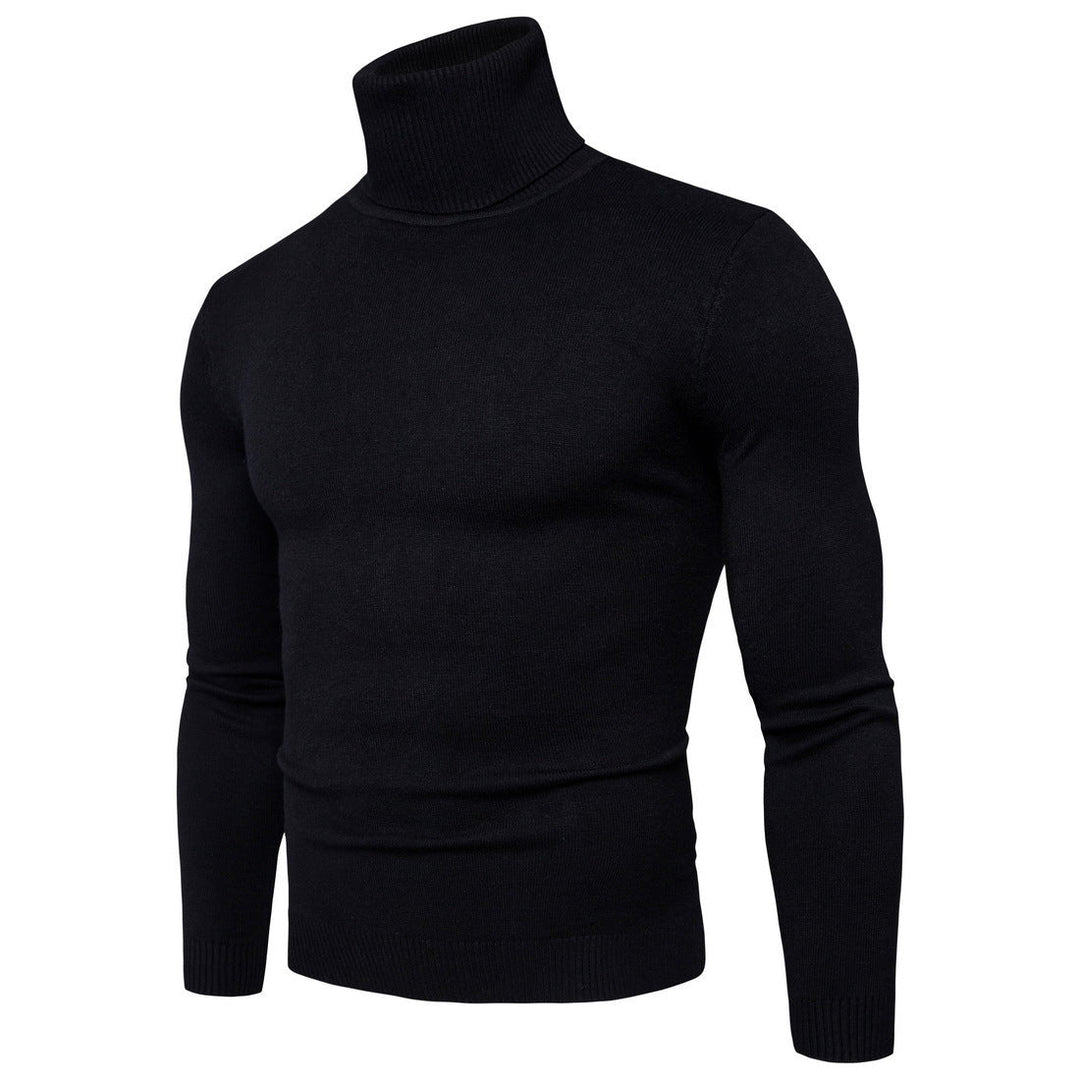 Herren Rollkragenpullover aus feiner Merinowolle Drune