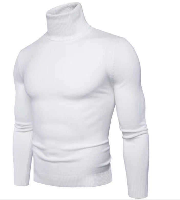 Herren modischer Rollkragenpullover aus feiner Merinowolle Drune