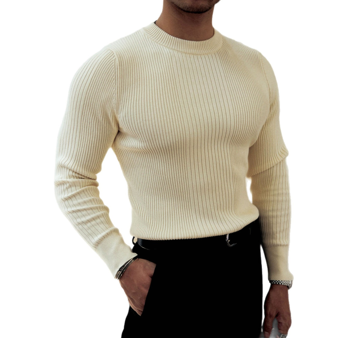 Herren Modischer Rippstrickpullover Drune