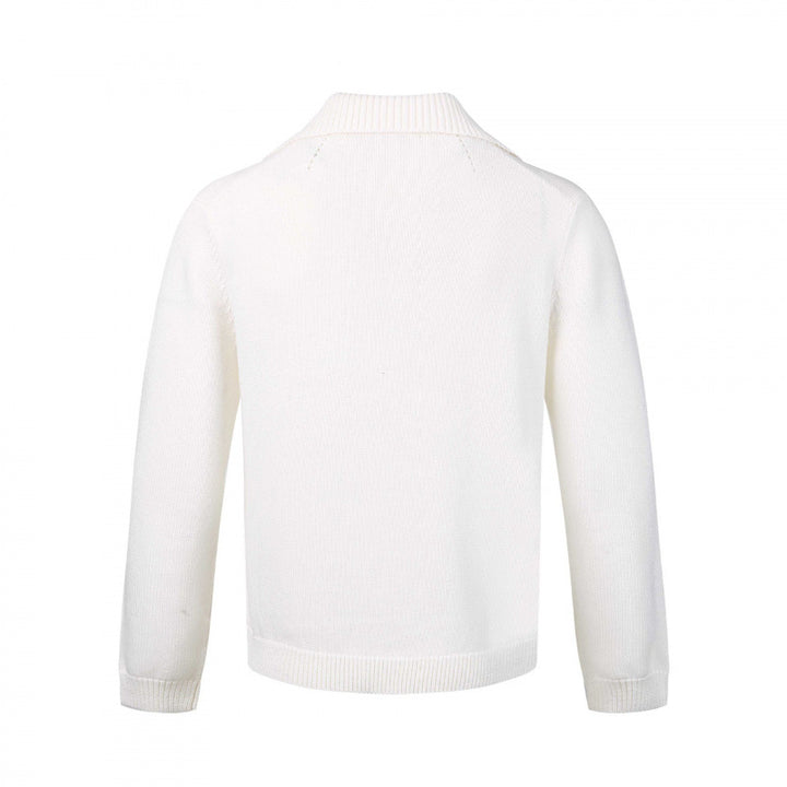 Herren Feinstrickpullover mit V-Ausschnitt und umgelegtem Hemdkragen Drune