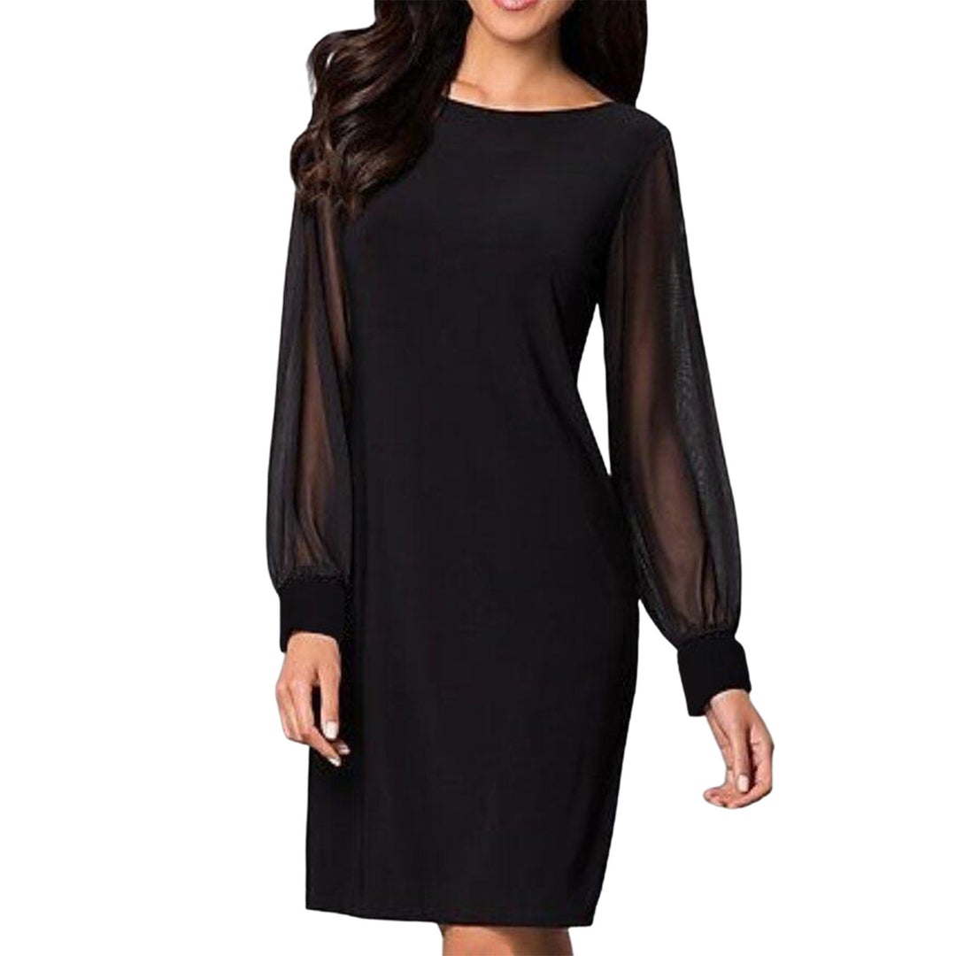 Damen nan elegantes Etuikleid mit transparenten Chiffon-Ärmeln, Rundhalsausschnitt und taillierter Silhouette Drune