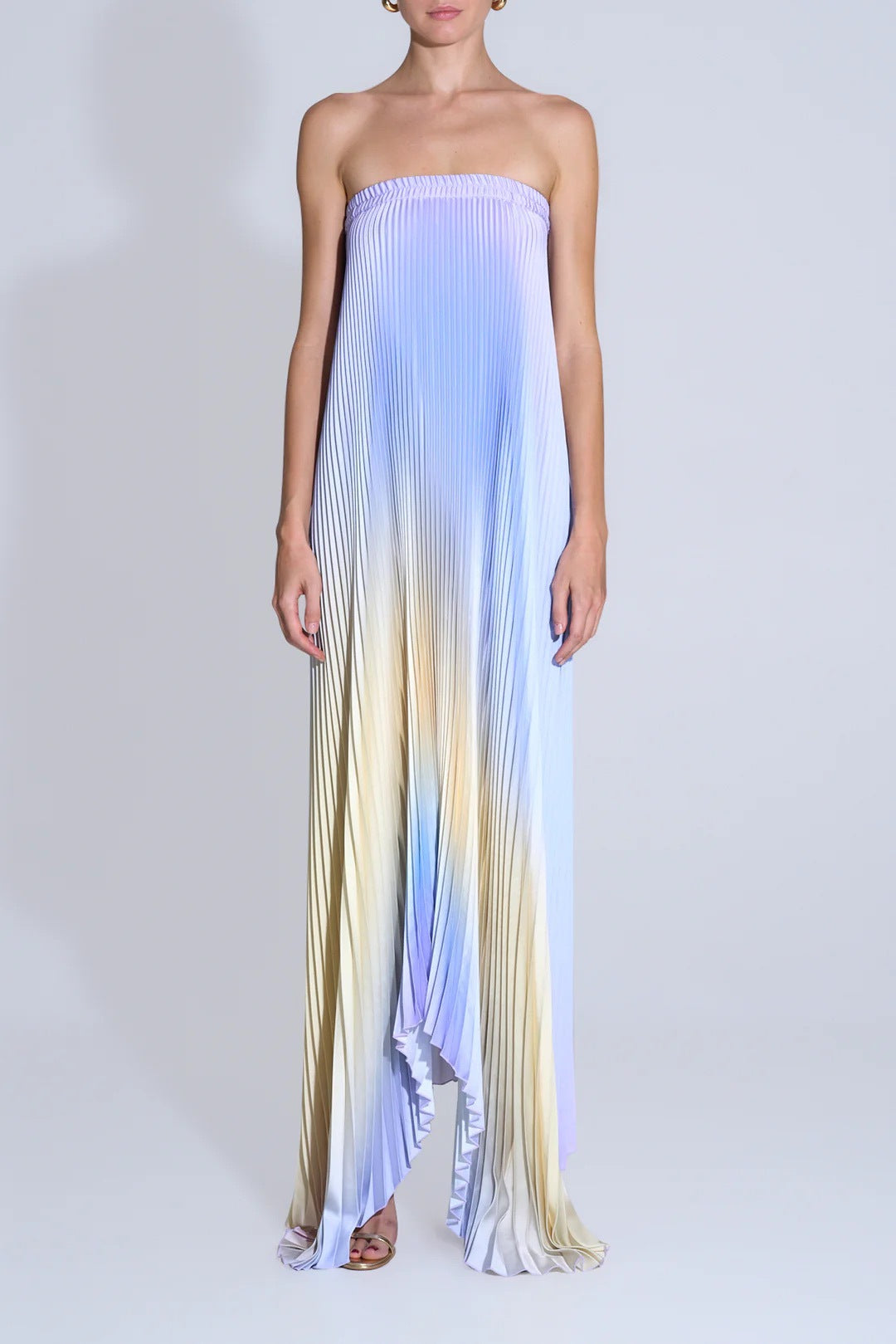 Damen Maxi-Kleid mit kunstvollem Plissee-Design und floralem Druck Drune