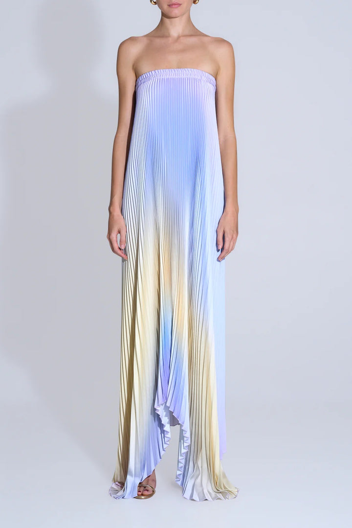 Damen Maxi-Kleid mit kunstvollem Plissee-Design und floralem Druck Drune