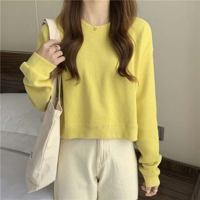 Damen lässiger cropped Pullover aus weichem Baumwollmix mit modischem Rundhalsausschnitt Drune