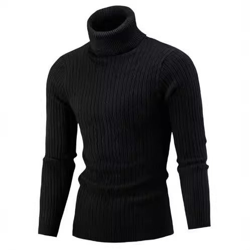 Herren Rollkragenpullover aus komfortabler Strickqualität Drune