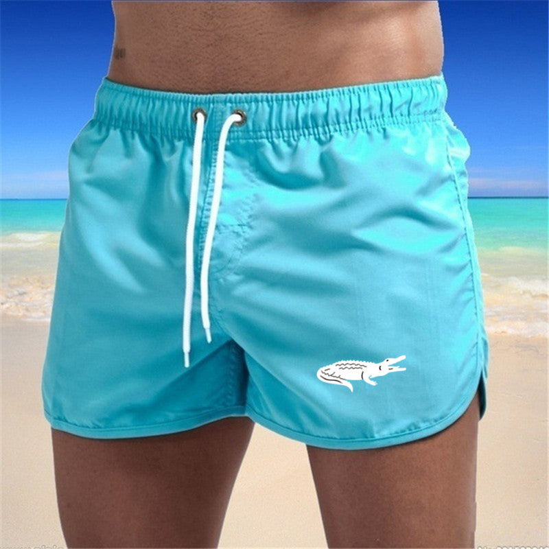 Drune | Strandshorts mehrfarbige Sportshorts