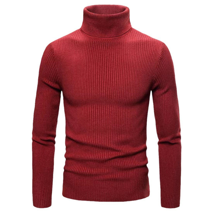 Herren modischer Rollkragenpullover aus feiner Rippstruktur Drune