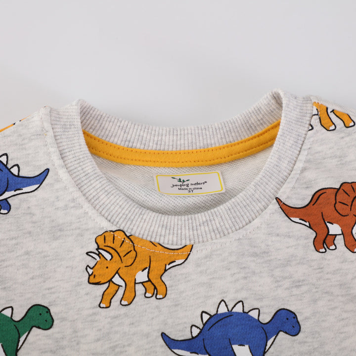Jungen Sweatshirt mit fröhlichem Dinosaurier-Motiv Drune