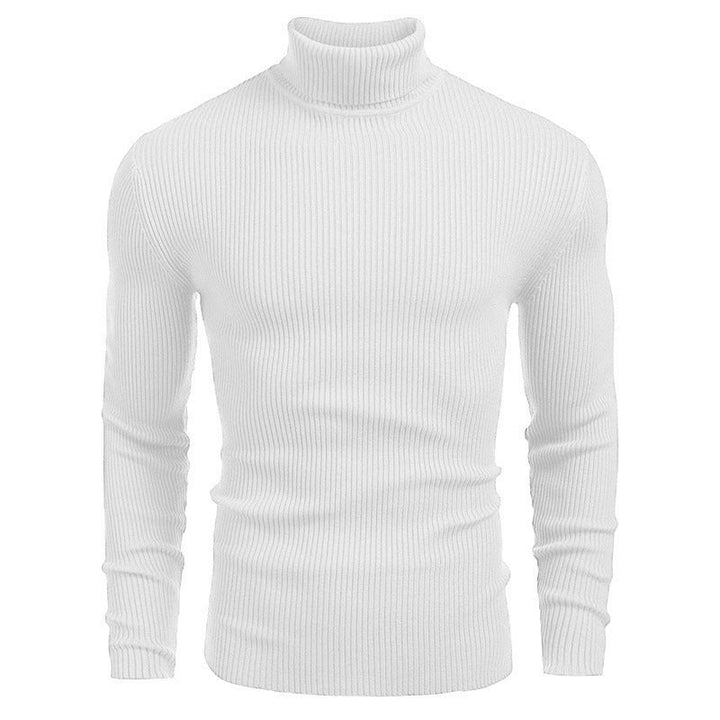 Herren Rollkragenpullover aus feinem Rippstrickmaterial Drune