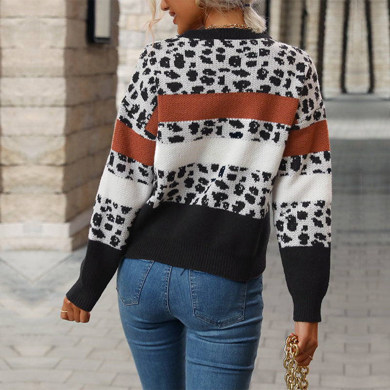Damen Feinstrickpullover mit Animalprint‑Blockstreifen und geripptem Saum Drune