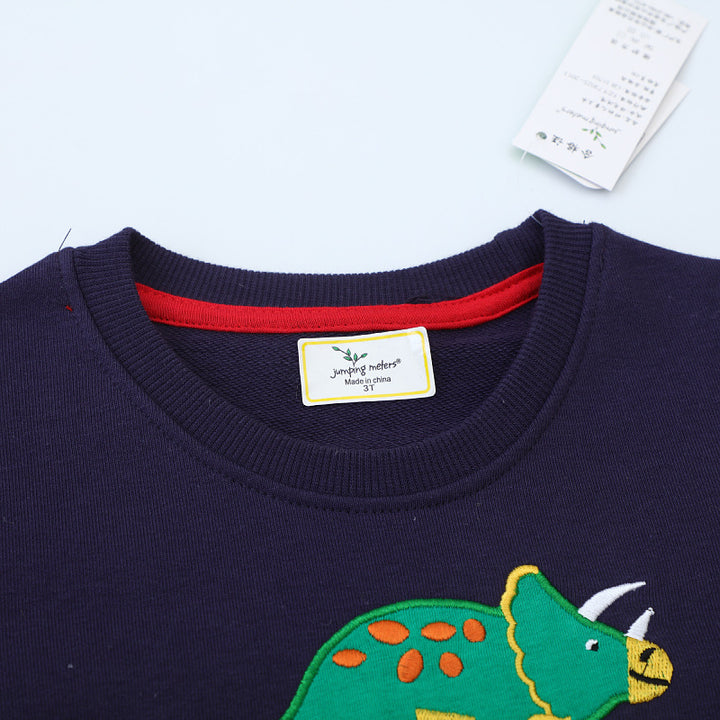 Jungen Sweatshirt mit buntem Dinosaurier-Applikationen Drune