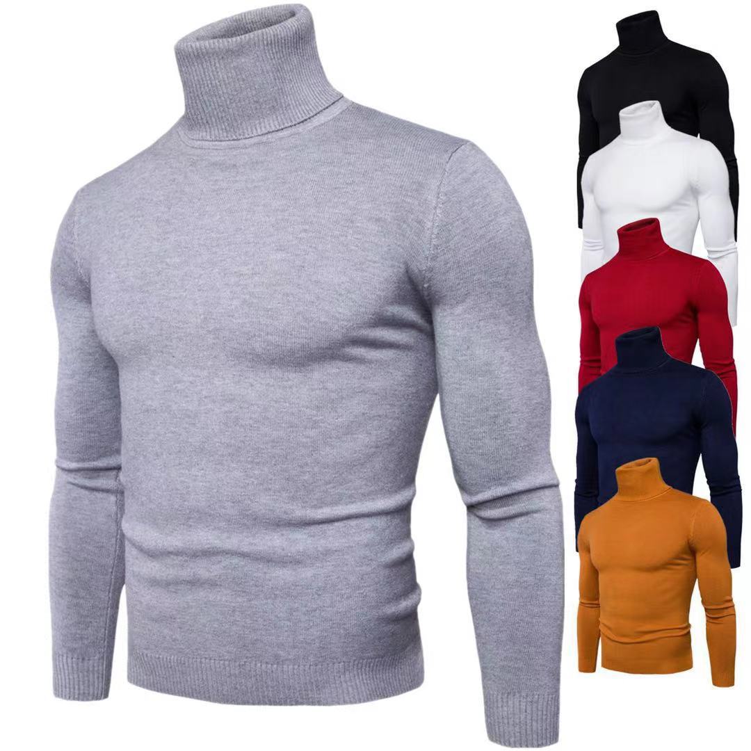 Herren modischer Rollkragenpullover aus feiner Merinowolle Drune