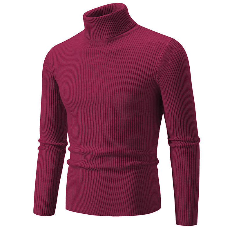 Herren Rollkragenpullover aus fein geripptem Material Drune