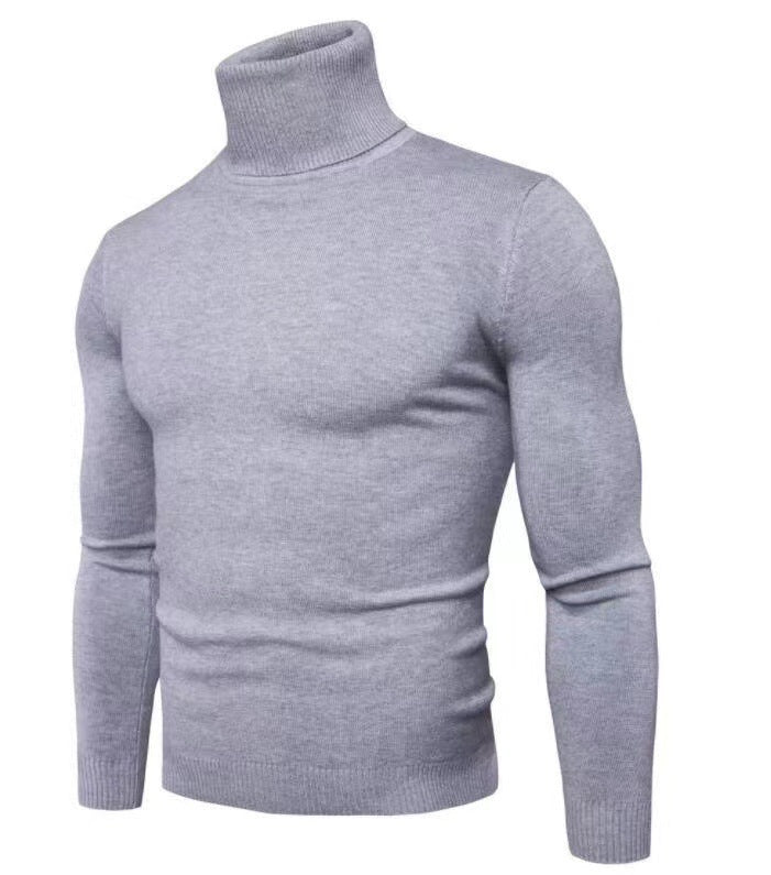 Herren modischer Rollkragenpullover aus feiner Merinowolle Drune