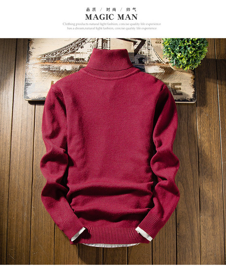 Herren modischer Rollkragenpullover aus feiner Merinowolle Drune