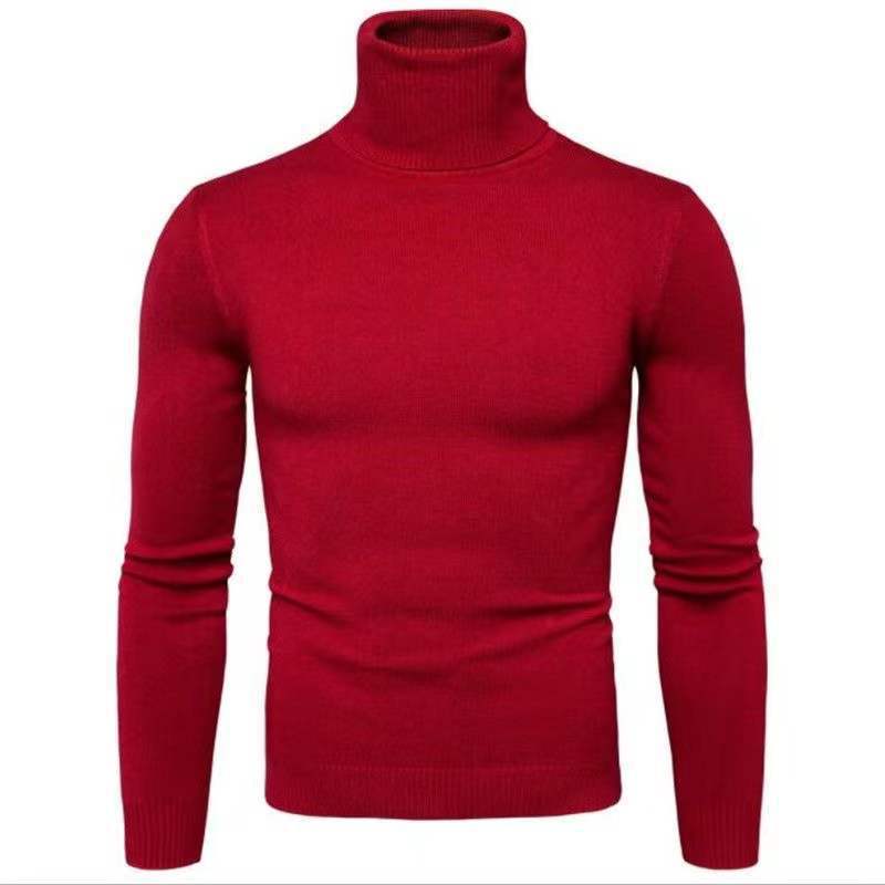 Herren Rollkragenpullover aus feiner Baumwolle mit figurbetontem Schnitt Drune