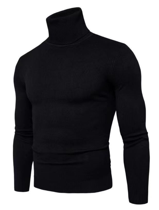 Herren modischer Rollkragenpullover aus feiner Merinowolle Drune