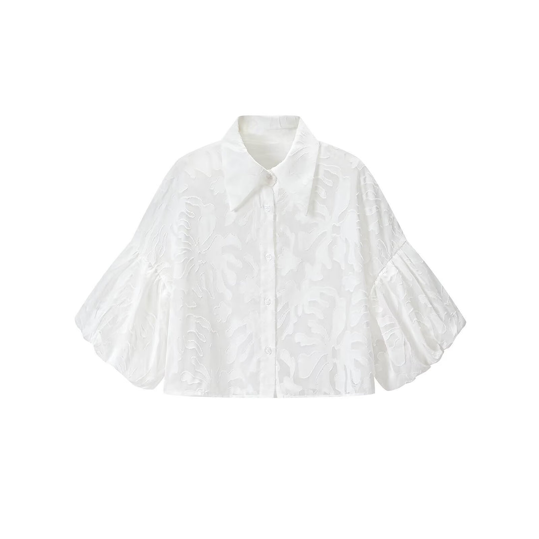 Damen Transparente Organza-Bluse mit weitem Schnitt, Volumenärmeln und Hemdkragen Drune