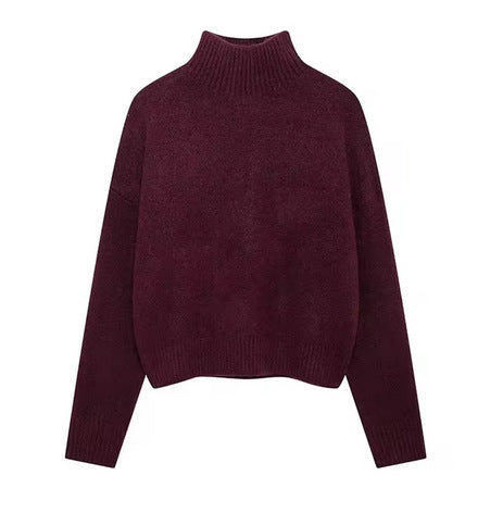 Damen Kuscheliger Rollkragenpullover Drune