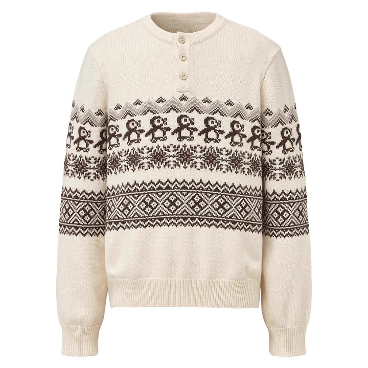 Herren Grobstrickpullover mit Knopfleiste und modernem Muster Drune