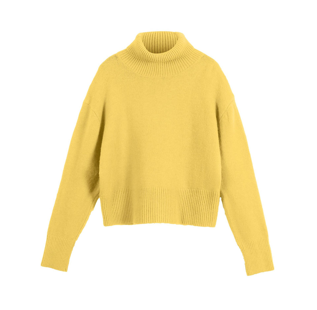 Damen modischer Rollkragenpullover Drune