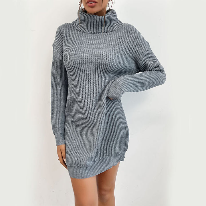 Damen Feines Rippen-Strickminikleid mit hohem Rollkragen Drune