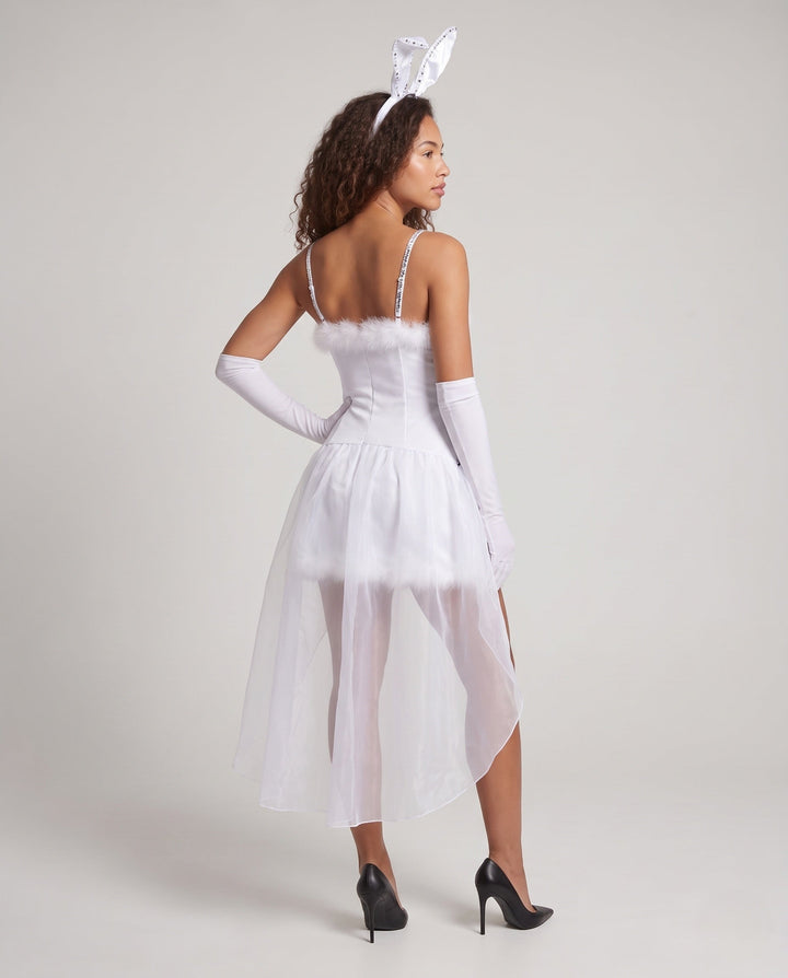 Product 15960270242122 - back_view