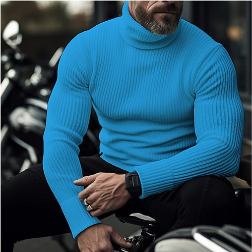 Drune | Stylischer Rollkragenpullover für Herren