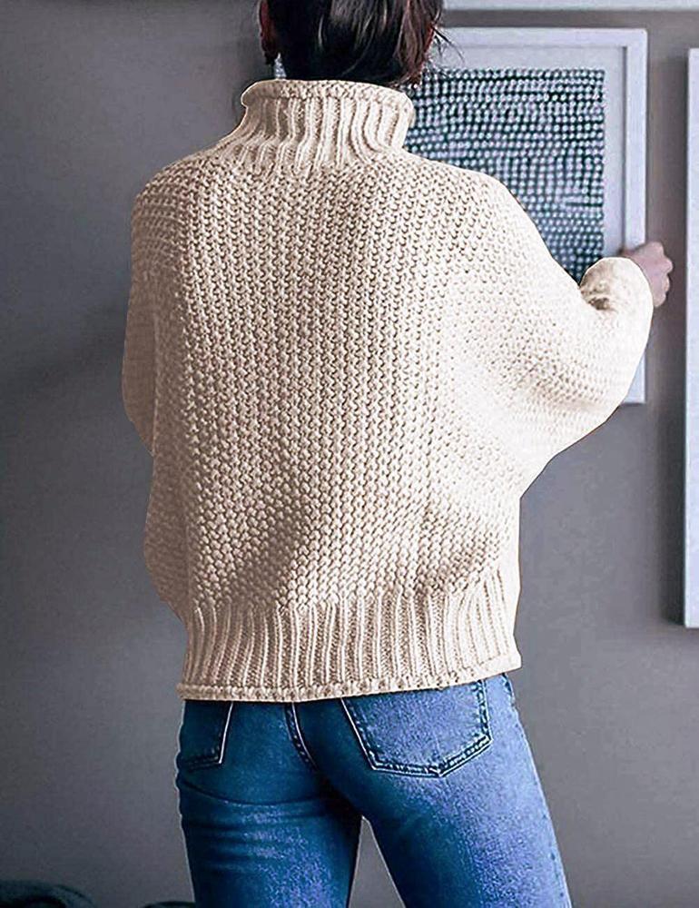 Drune | Unifarbener Langärmeliger Pullover