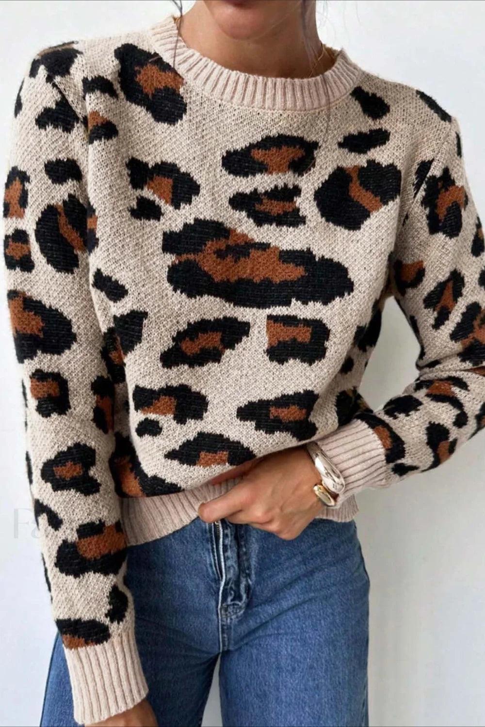 Drune | Pullover mit Farbfeld und Leopardenmuster und Rundhalsausschnitt