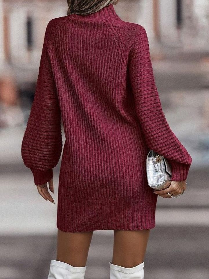 Drune | Rollkragenpullover Kleid