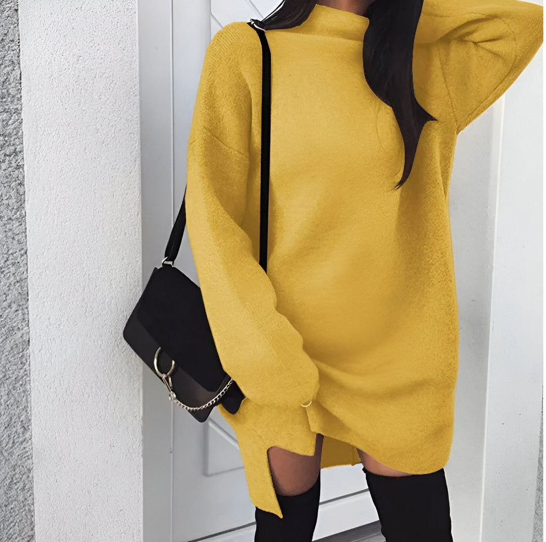 Drune | 2024 Herbst Oversized Rollkragenkleid