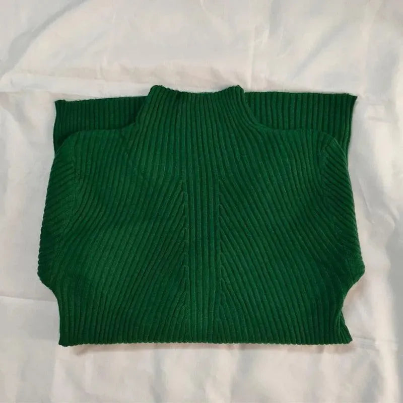 Drune | Klassischer Rollkragenpullover