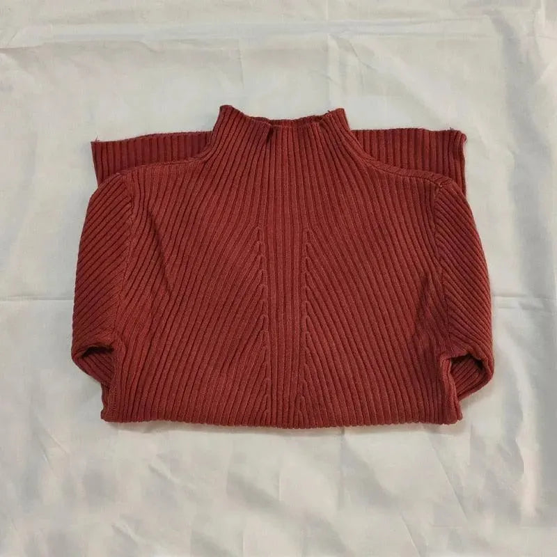 Drune | Klassischer Rollkragenpullover